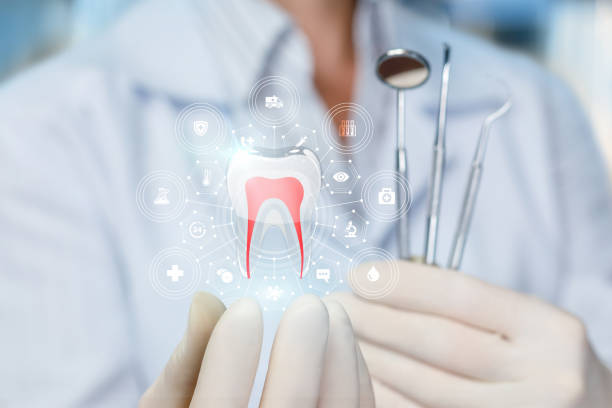Best Dental X-Rays and Imaging  in North Bay Village, FL